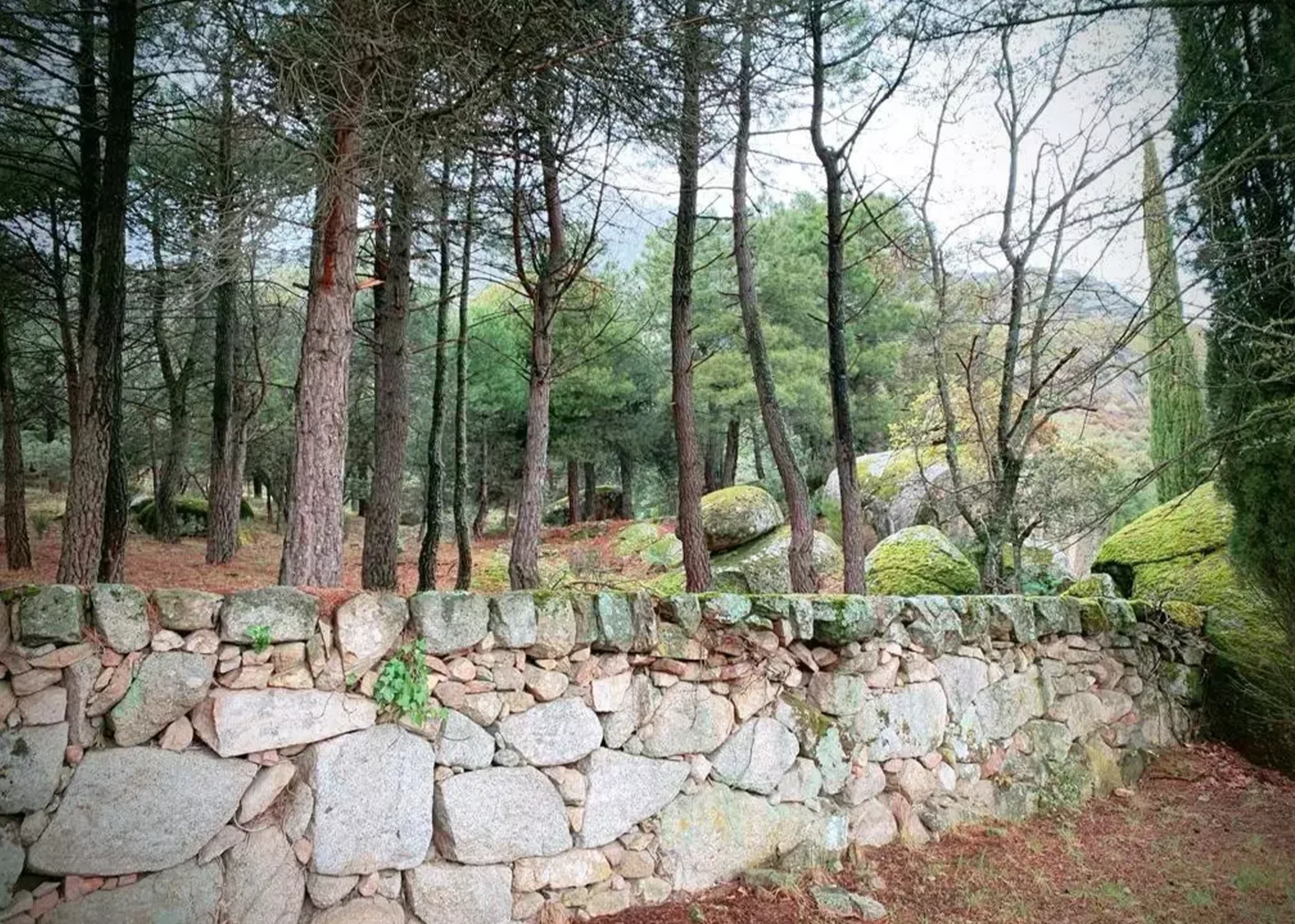 Casa rural La Casa Roja del Escorial, alojamiento con jardín en la Sierra de Guadarrama